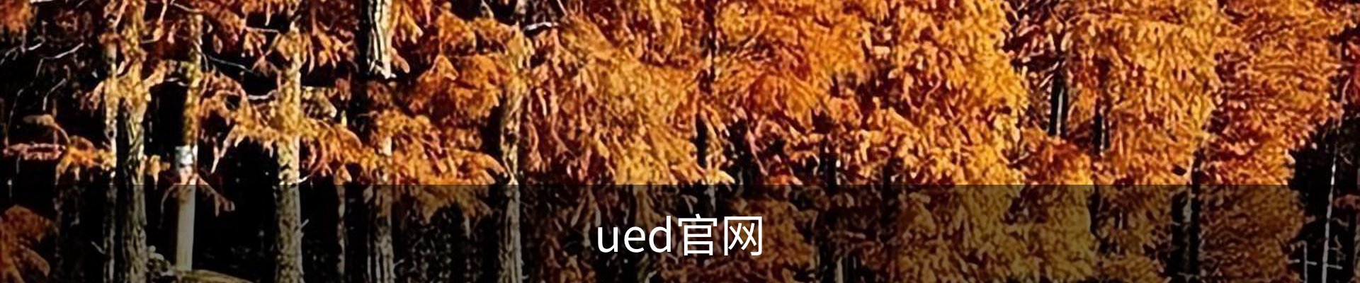 ued官网
